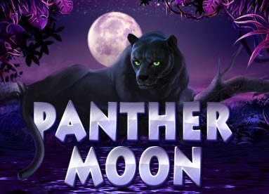 Sensasi Misterius Slot Panther Moon OLE777